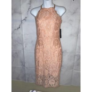 Lulus Wishful Wanderings in Small Blush Pink Lace Bodycon Midi Dress